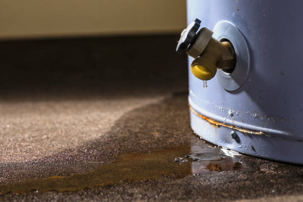  Port Hadlock Irondale, WA Water damage restoration Pros