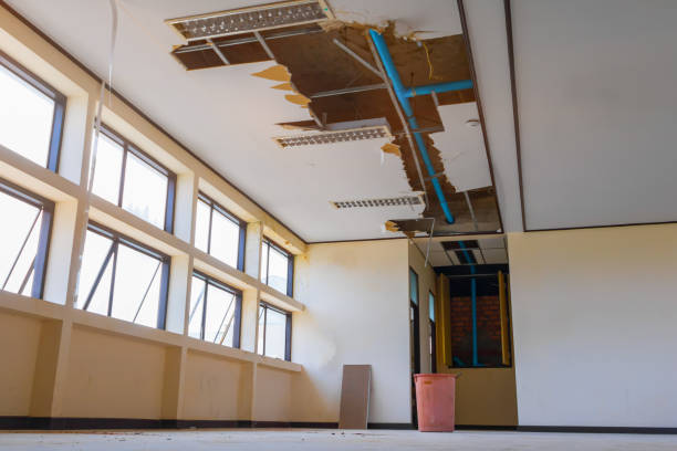 Best Sewage cleanup and water damage restoration  in Port Hadlock Irondale, WA