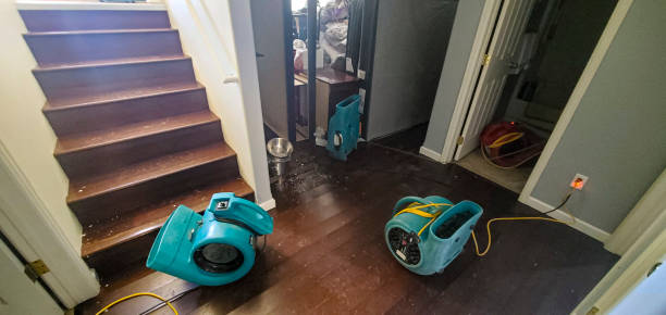 Best Flood damage cleanup  in Port Hadlock Irondale, WA