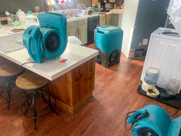 Best Basement water damage restoration  in Port Hadlock Irondale, WA