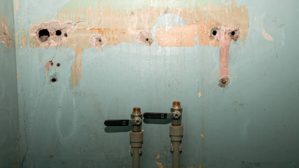 Reliable Port Hadlock Irondale, WA Water damage restoration Solutions