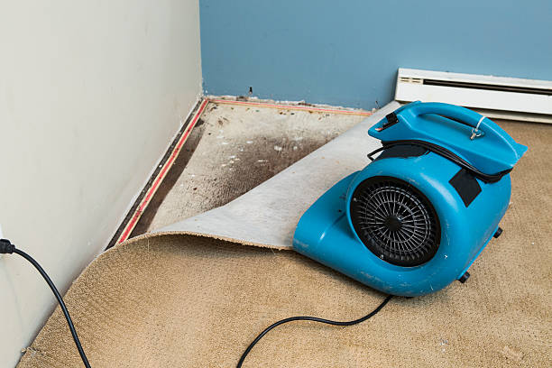 Best 24/7 water damage repair  in Port Hadlock Irondale, WA